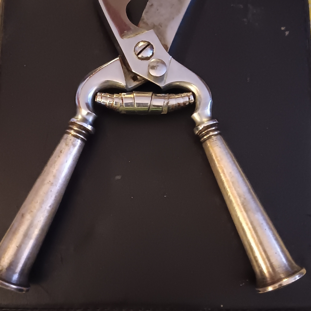 Premium Silver Poultry Shears